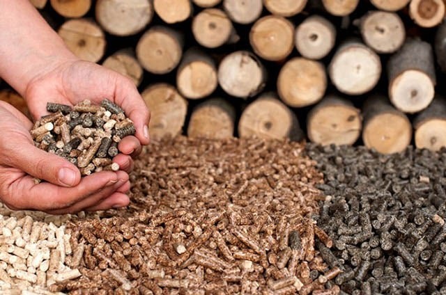 Thu gần 2,9 tỷ USD từ gỗ vụn